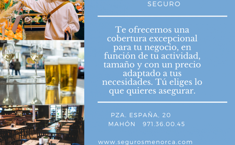  Seguros empresa menorca