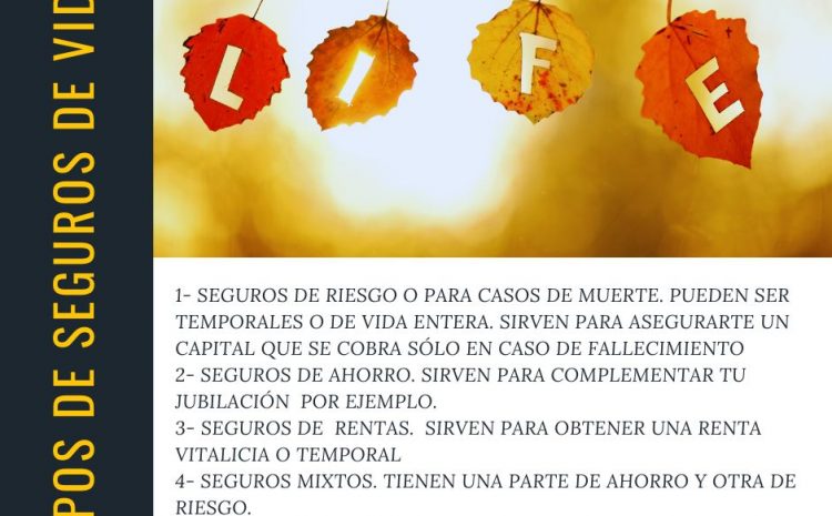  seguros de vida en menorca