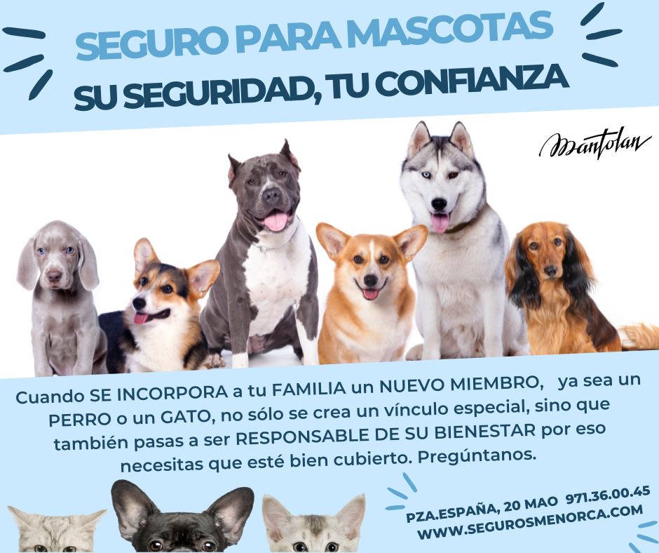 SEGURO MASCOTAS MAHÓN